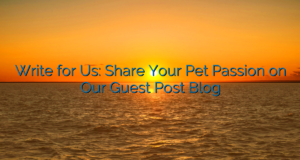 Write for Us: Share Your Pet Passion on Our Guest Post Blog